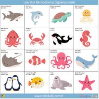 Bee-Bot Kodlama Matı – Okyanusu Keşfediyorum Temalı Eğitim Matı