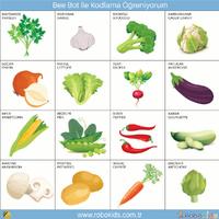 Bee-Bot Kodlama Matı – Sebzeleri Öğreniyorum Temalı